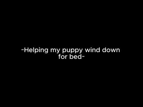 Helping my puppy wind down for bed [m4a] [ASMR] [headrubs] [sleepaid]