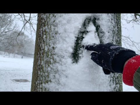 ASMR SNOW ❄️ (Crunchy, Nature, Water Sounds)