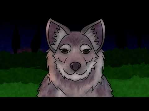 Furry ASMR - Grey Wolf Awoos