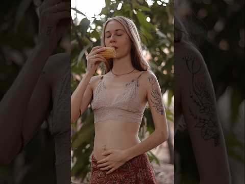 como e porque parei de comer animais