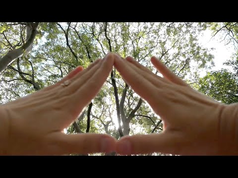 Planetary Healing for Earth: Solar Frequency Transmission