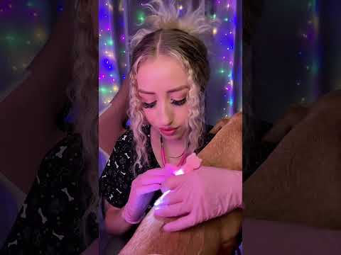 Zoey's fur exam #asmr #asmrvideo #asmrsounds #asmrroleplay #asmrdoctor #dog #dogs #pets #pet
