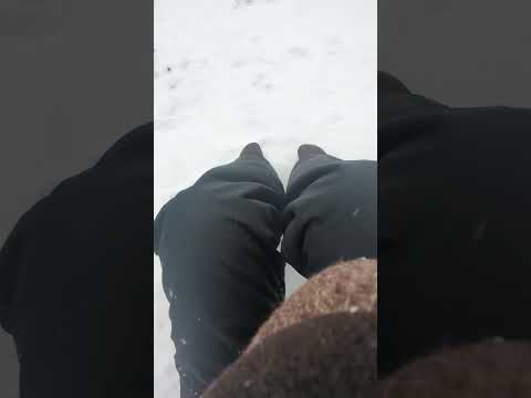 Freezing Rain ASMR #shorts #asmr #ice