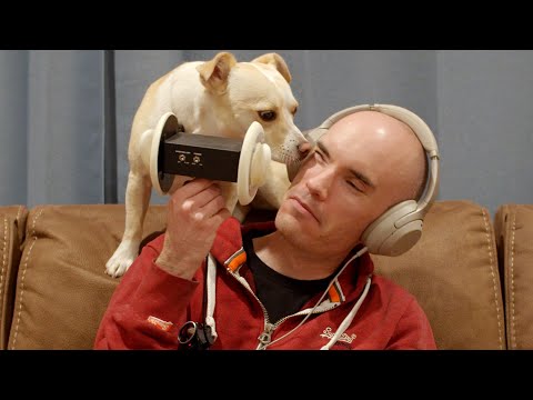 ASMR With My Parents' Dog