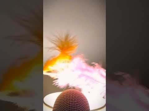 ASMR elige uno #relax #asmr #asmrsleep #asmrsound