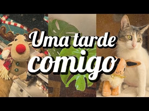Vlog #02 | tarde de passeio e primeiro dia como lar temporário