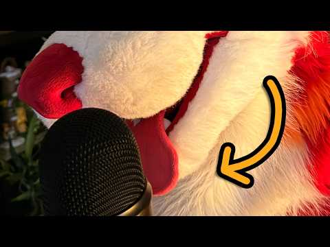 Furry ASMR .... Extremely Up Close & Personal 💛...
