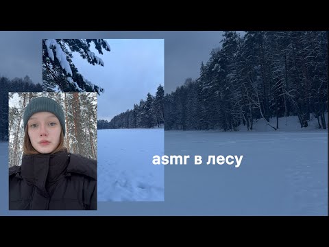 ASMR ЗИМНЯЯ СКАЗКА ❄️/ Asmr in the winter forest 🌲