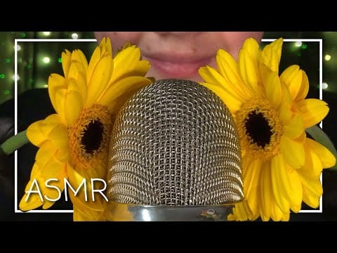 ASMR Tingly Flower Sounds 🌼 (No Talking)