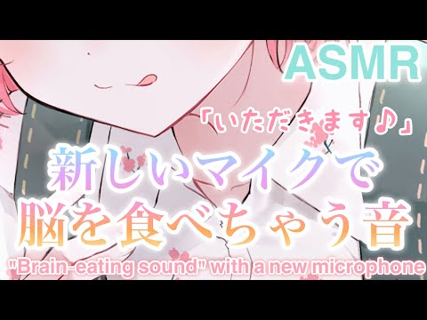 【ASMR】音質UP。新しいマイクでの脳を食べちゃう音[The sound of eating the brain with a new microphone.◆Sound quality UP◆]