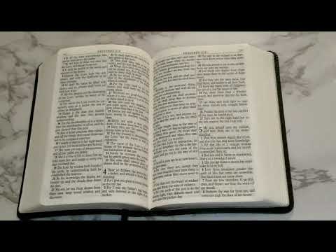 CHRISTIAN ASMR: BIBLE 📖 READING WITH OMY #6 (PROVERBS 4) -Whispering -