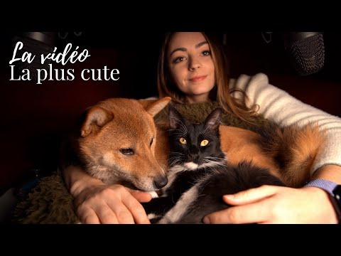 ♡ ASMR  - Je prends soin de mes Animaux (Ronronnement & Scratching)  ♡