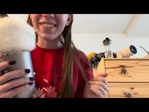 Q&A (ASMR)