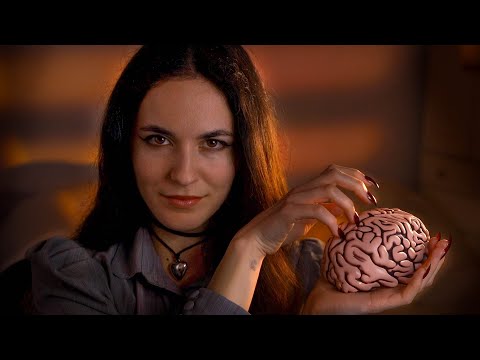 POV: You're Getting a Brain Massage ♡ ASMR