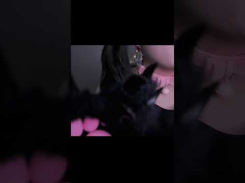 ASMR Does This Make You Tingle? (8D~16D) #tingles