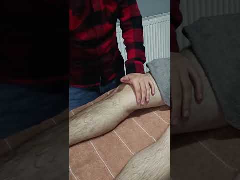 MASSAGE TECHNIQUES THAT PROVIDE RELIEF IN THE FRONT LEGS #satisfying #relaxing #asmr #shorts