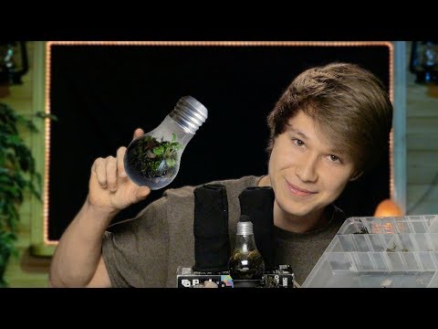 [ASMR] How to Make a Terrarium