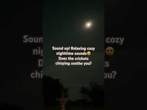 THE BEST ASMR IS OUTSIDE🌕 #asmr #asmrvideos #tingling #asmroutside #outdoorambiance #asmroutdoor