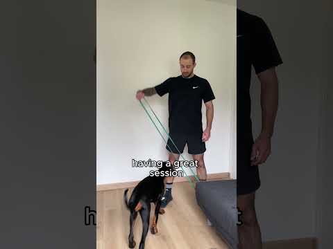 Starting from zero. Week 12 back to training