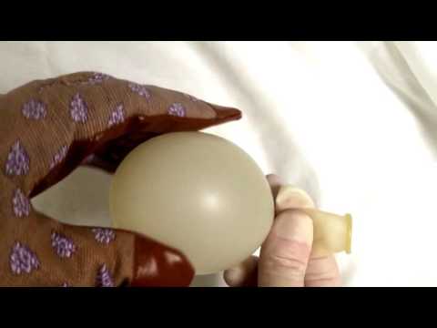 GLOVES with leatherette˘ﻬ˘ LATEX◎ LATEX BALLOON* RELAXING* TINGLES ◎ [[ASMR]]