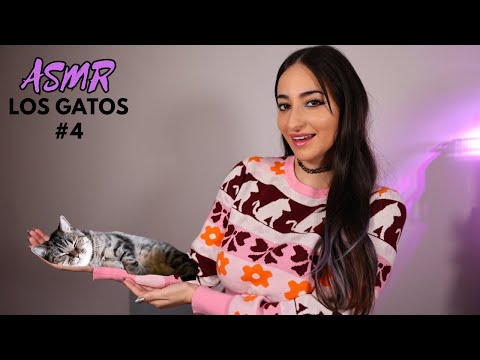 4K ASMR Educativo 🐱 10 + 1 CURIOSIDADES de los GATOS ATIGRADOS 😻 [Soft Spoken]