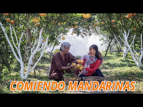 ASMR COMIENDO MANDARINAS🍊EATING SOUNDS🍊EATING TANGERINES