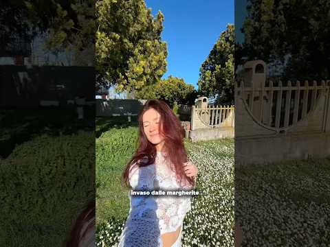 ASMR: il mio giardino è invaso dalle margherite 🌸