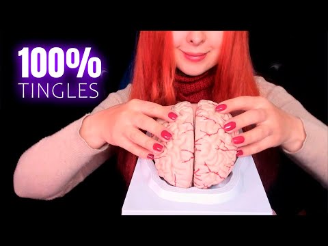 ASMR Guaranteed Tingles Using Your Favorite Triggers 6 Hr