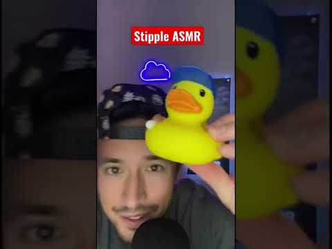 Stipple ASMR | Fast and Random ASMR 😂