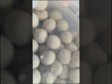 ASMR Lofi: Ceramic Bean Shake