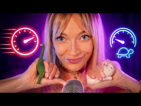 ASMR FAST → SLOW 🐢 For an Overstimulated Brain