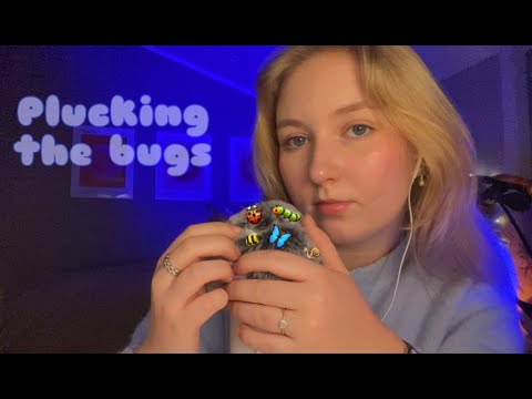 searching for bugs ASMR 🐞