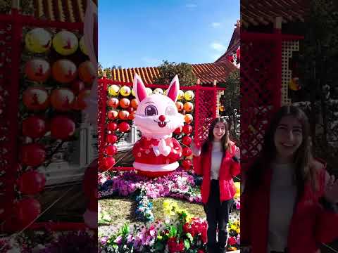 I went to a Buddhist Temple for the Lunar New Year! 🧧🎉 #asmr #softspokenasmr #shorts #travel