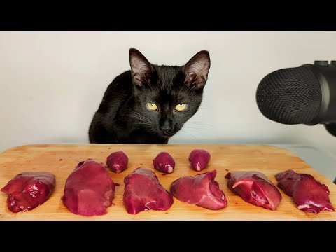 Cat Eating Raw Chicken Liver ASMR