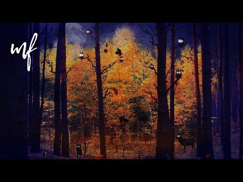 Autumn Forest with its Critters ASMR Ambience