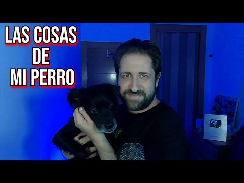 TAG EN ASMR | LAS COSAS QUE TIENE MI PERRO