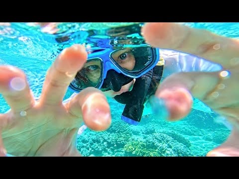 ASMR in 石垣島 🏝️(No Talking/Nature Sounds)