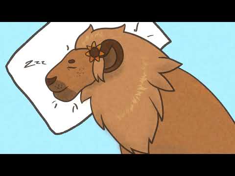 Asha The Sleepy Lionyeen Roars and Sleepy Snuggles