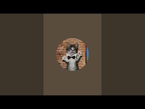 meli ASMR ☀️ está en vivo
