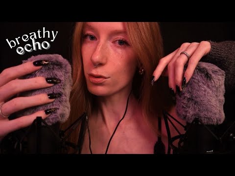 ASMR | Breathing & delicate tapping with ECHO to melt you to sleep 🫠