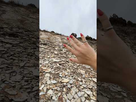 Lofi ASMR on Fossils 🦖🌊 #asmr #asmrtriggers #lofi