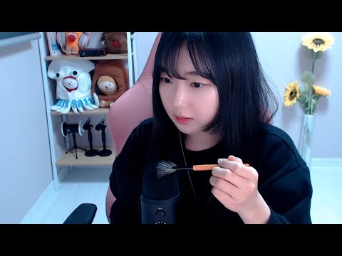 ASMR 속삭임 수다와 마이크 브러슁 Whispering and mic brushing