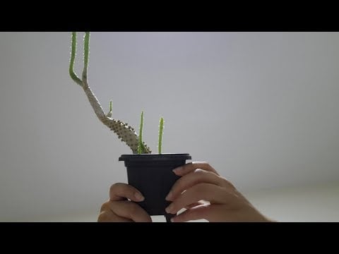 ASMR Tapping & scratching (fast and aggressive) - Camera touching