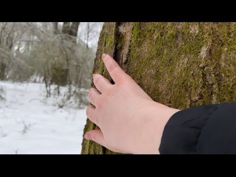 ASMR winter edition!