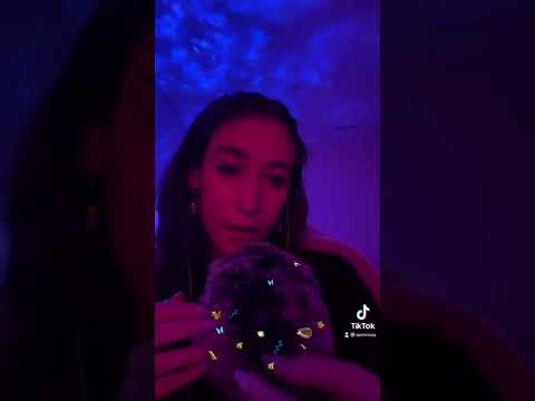 ASMR bug search!