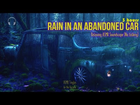 3 hours - Rain in an Abandoned Car ★ (with night forest sounds) For sleep & relaxation ★ Soundscape