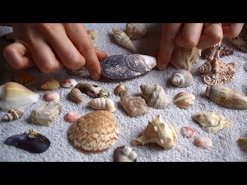 Treasures of the Earth - Whispered ASMR video for SLEEP ♡