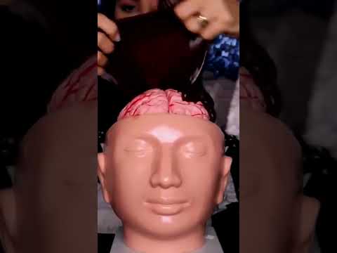 ASMR derretendo seu cérebro #shorts
