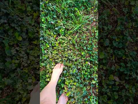 ASMR Grounding Your Energy🦶🌍🌲🌎🌿 #relaxing