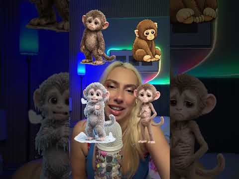 Maymuncuklara ne olmuş böyle 😲 #asmr #asmrsounds #asmrvideo #asmrtiktoks #asmrsounds